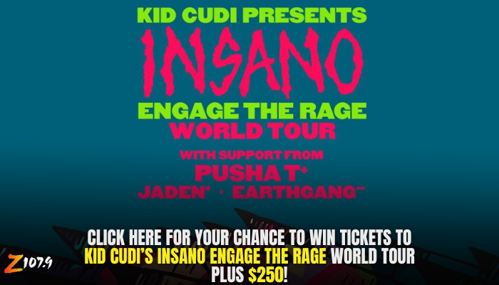 Music Survey Kid Cudi